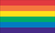 12x18" Nylon flag of Rainbow