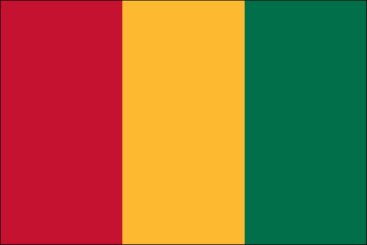 12x18" Nylon flag of Guinea