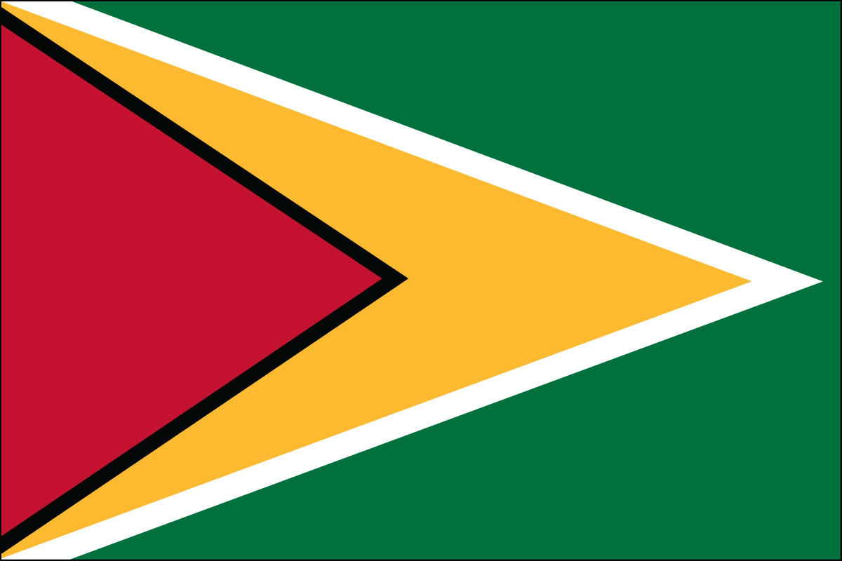 2x3' Nylon flag of Guyana