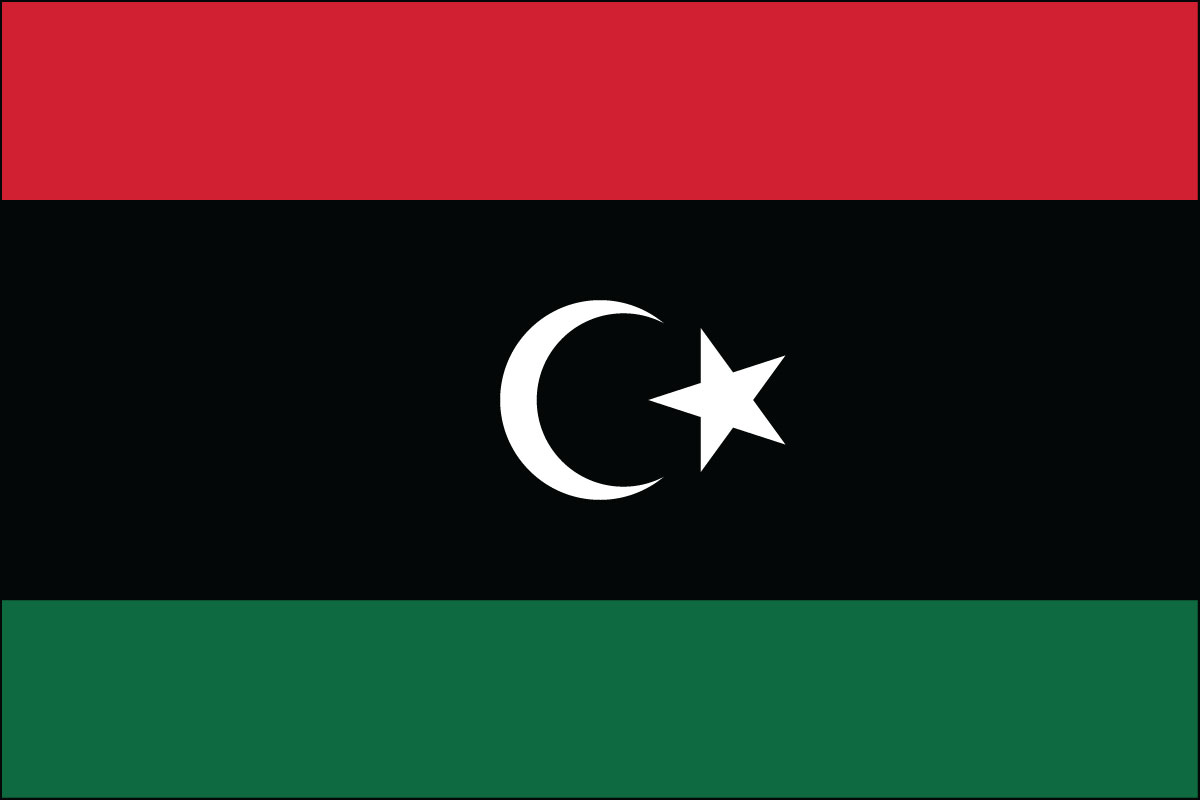 3x5' poly flag of Libya