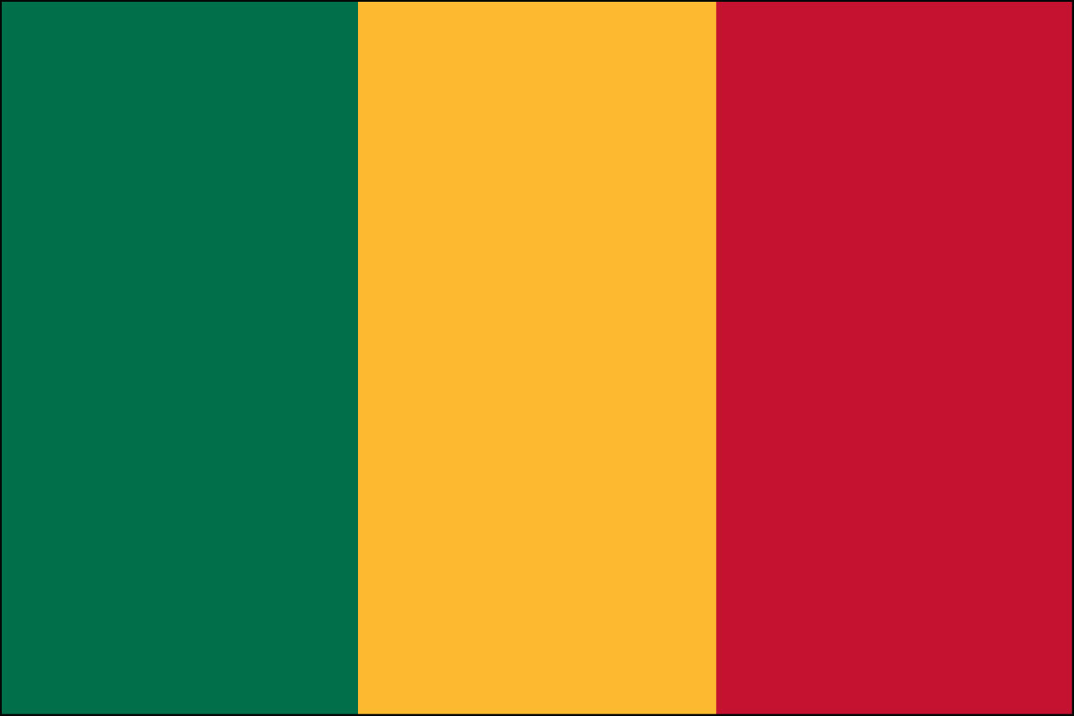 12x18" Nylon flag of Mali