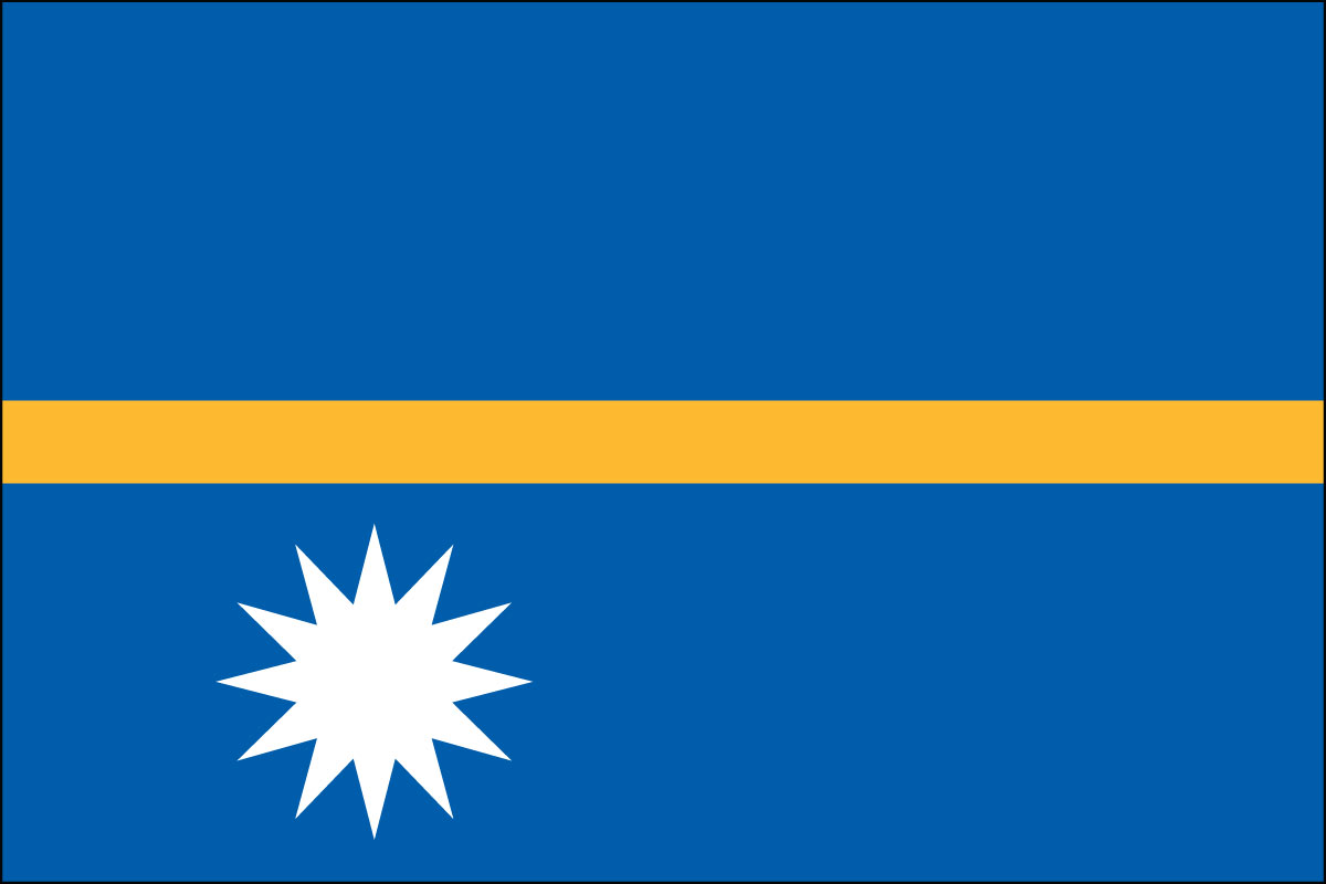 3x5' poly flag of Nauru