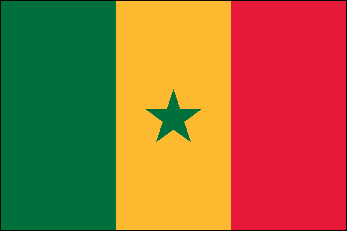 3x5' poly flag of Senegal