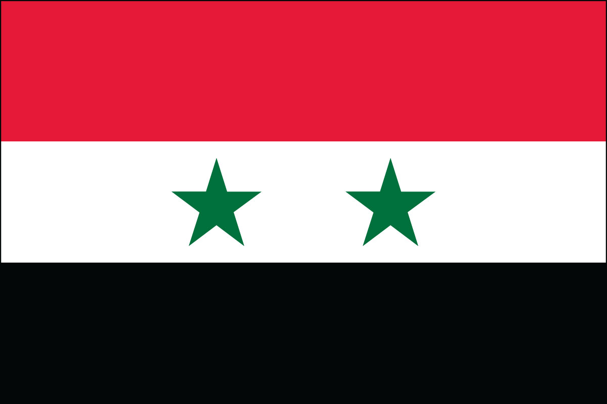 2x3' Nylon flag of Syria