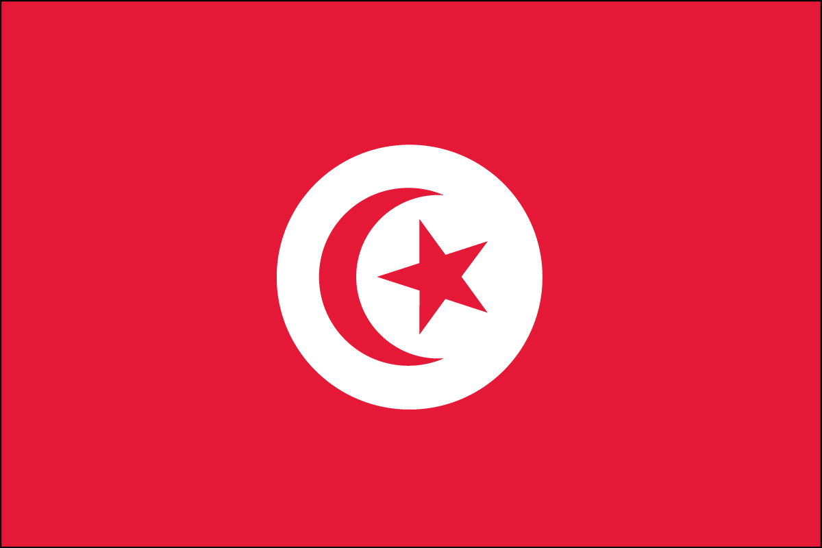 2x3' Nylon flag of Tunisia