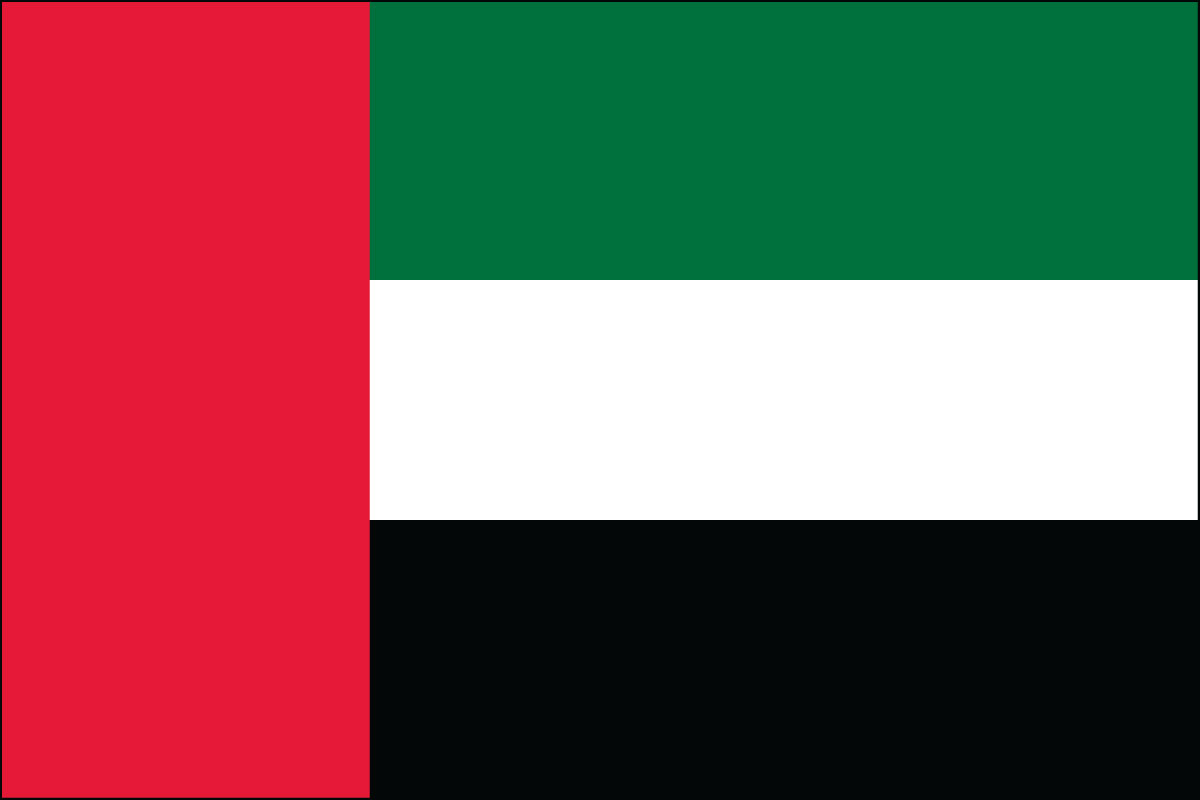 2x3' Nylon flag of United Arab Emirates