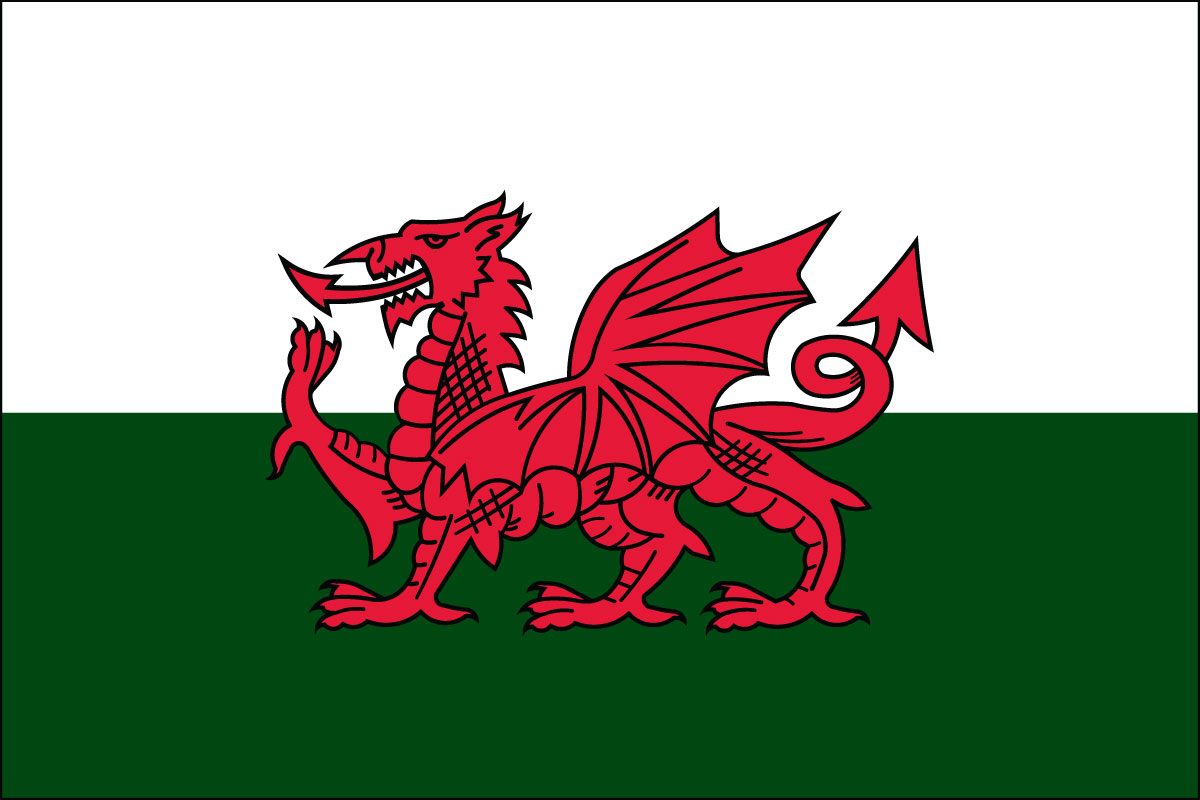 12x18" Nylon flag of Wales